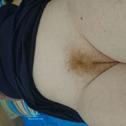 Pic #1The Bush - Bush Or Hairy