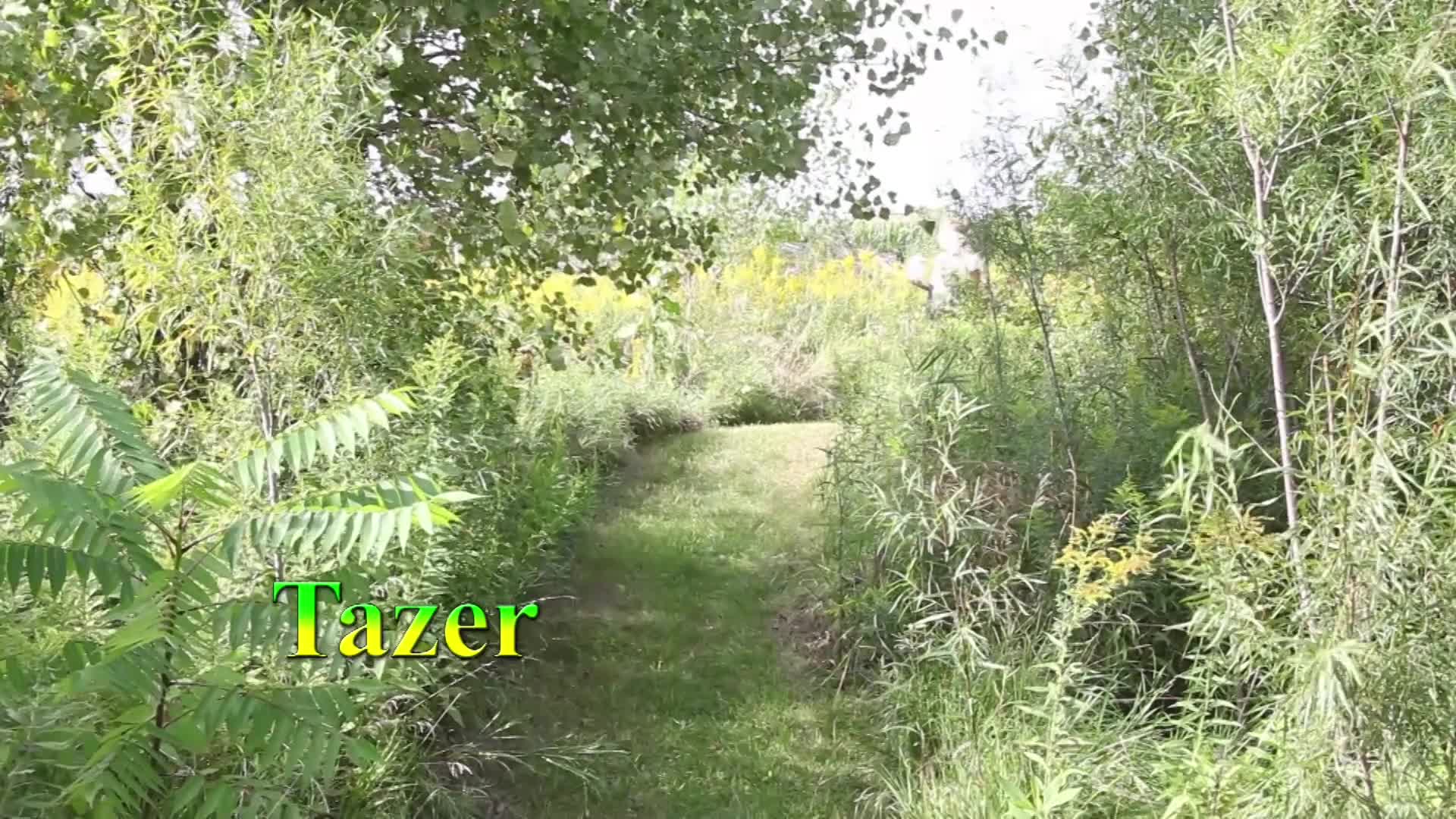 Pic #1Girl Scout Cookies - Blonde, Nature, Shaved