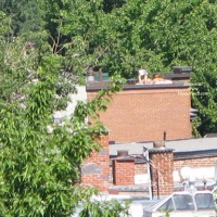 Pic #1 From My Balcony 3