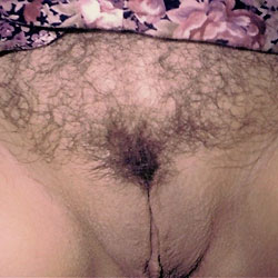Pic #1Self Shots - Bush Or Hairy, Close-ups, Amateur
