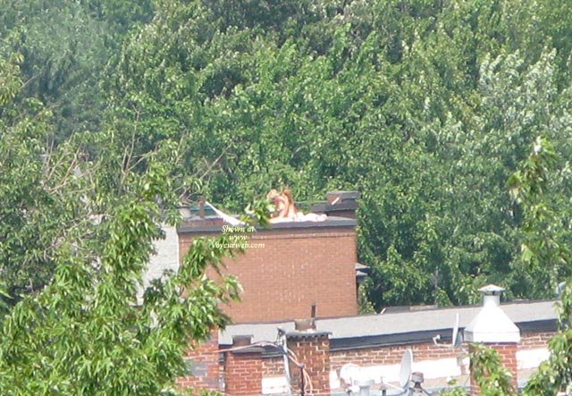 Pic #1 From My Balcony 5