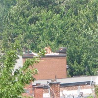 From My Balcony 5