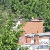 From My Balcony 6