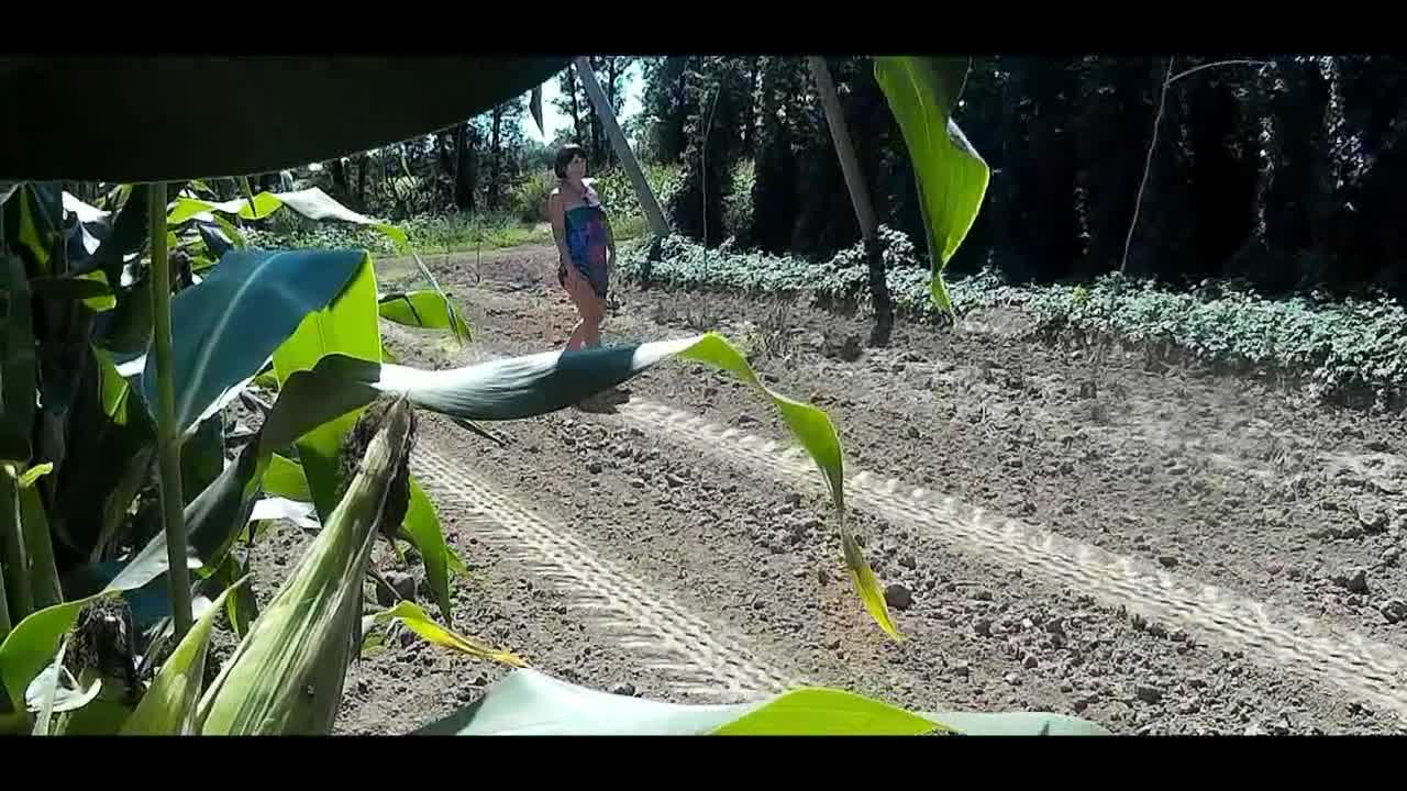 Pic #1My Dream's - Pantieless Girls, Big Tits, Brunette, Outdoors, Shaved, Amateur