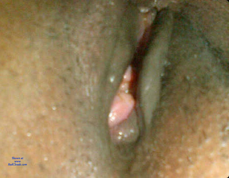 Pic #1La Amiga Exhibicionista X - Close-ups, Pussy