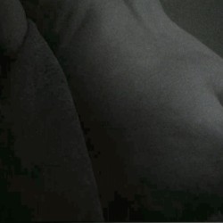 My wife's ass - Halina