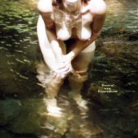 Beguiling Water Tits