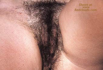 Pic #1My Kindy Neighbor