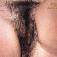 Pic #1My Kindy Neighbor