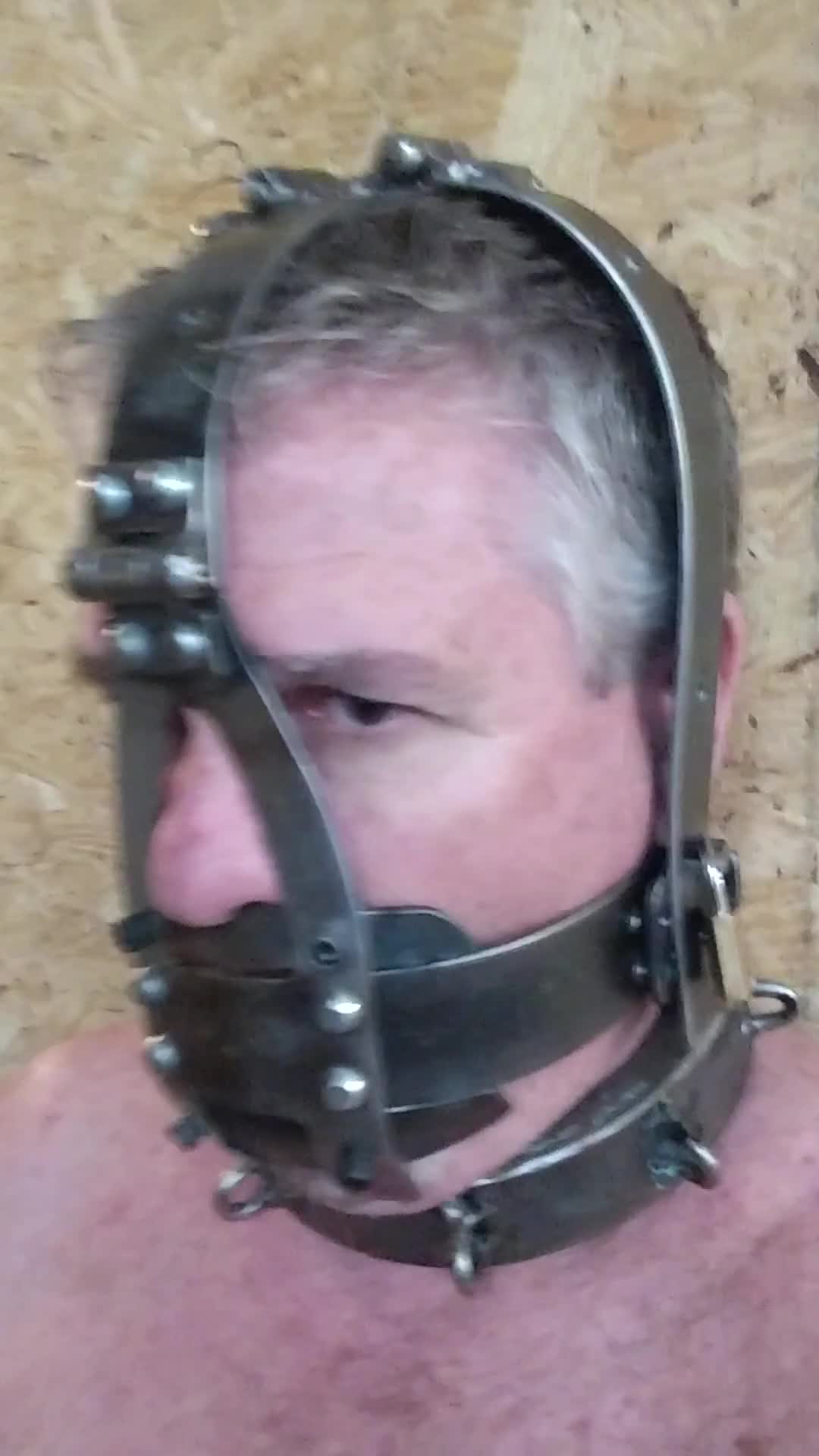 Pic #1M* Custom Made Scoldsbridle And Heavy Duty Collar