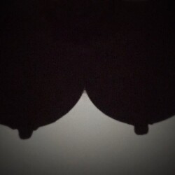 Medium tits of my wife - Princess Jen