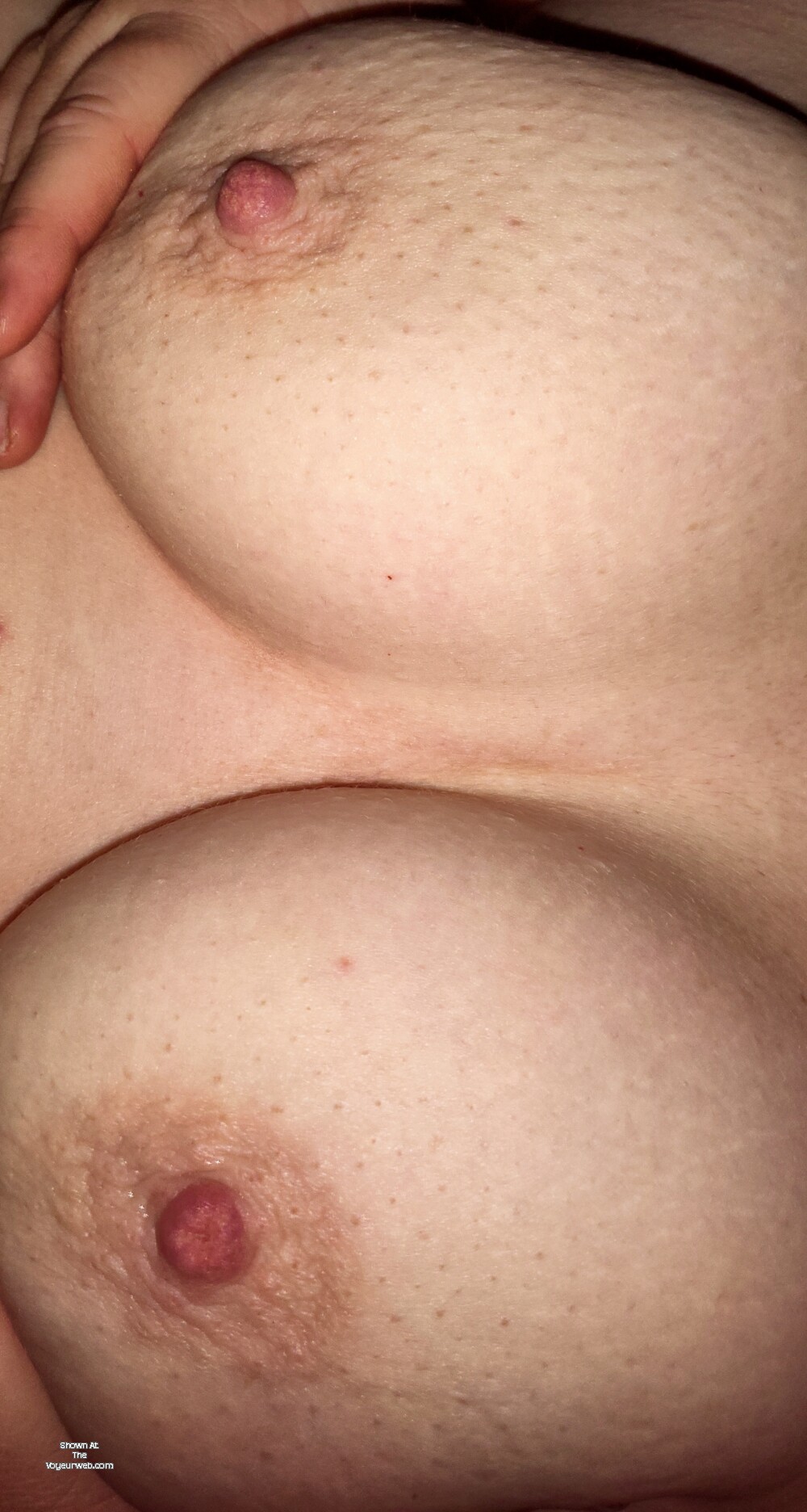 Pic #1 My medium tits - Raveness 