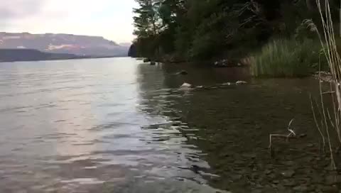 Pic #1Alone And Naked At The Lake - Nude Girls, Brunette, Outdoors, Nature, Amateur