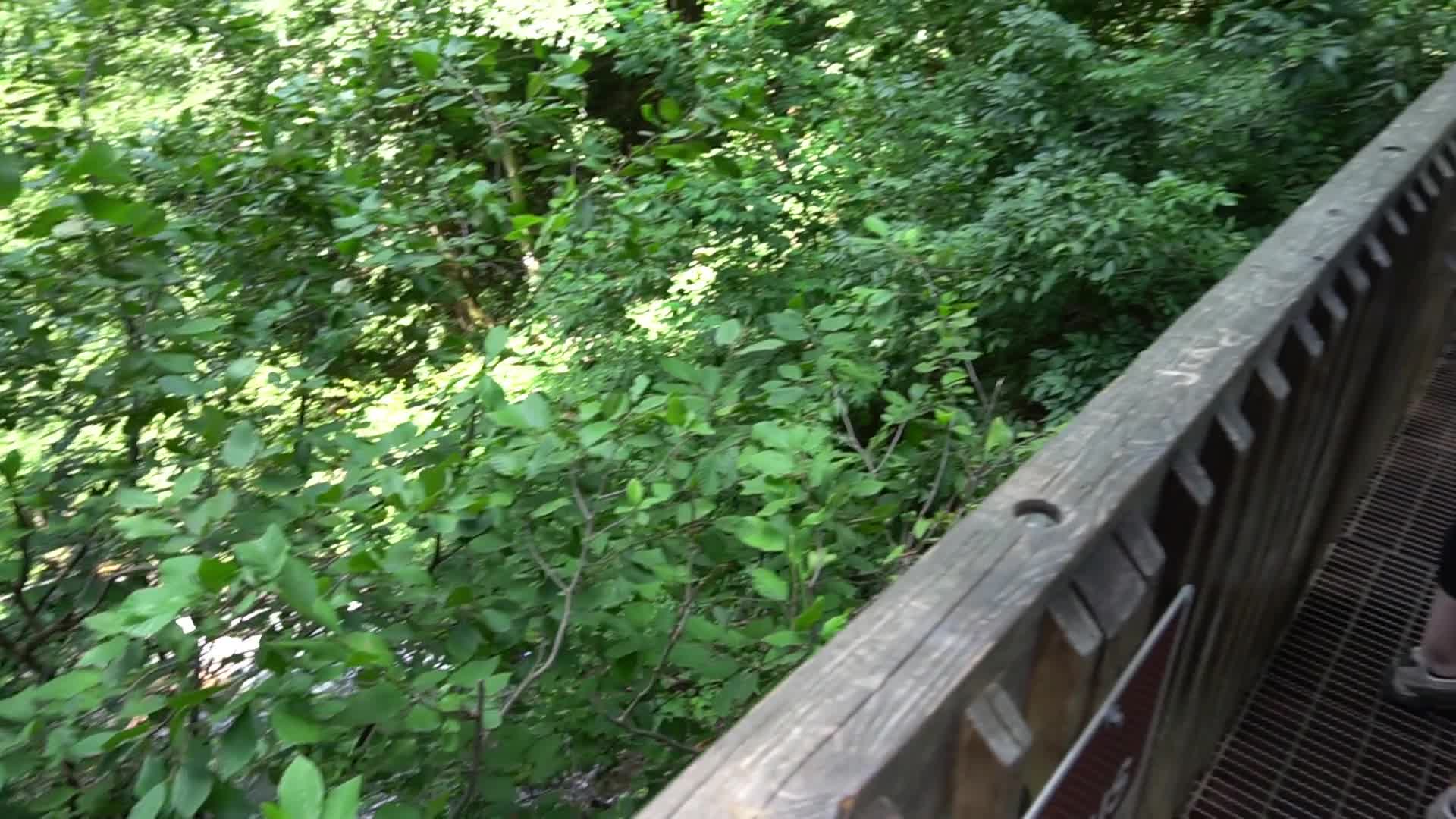 Pic #1Ecstasy At The Falls  - Nude Girls, Big Tits, Brunette, Public Exhibitionist, Outdoors, Bush Or Hairy, Amateur