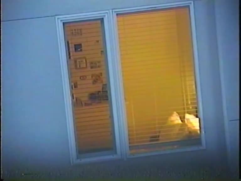 Pic #1She Knew - Voyeur