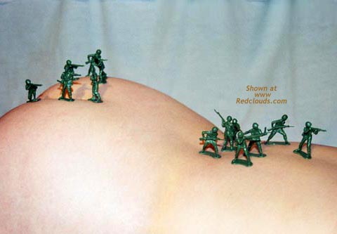 Pic #1MN Brigit in RC Army 2