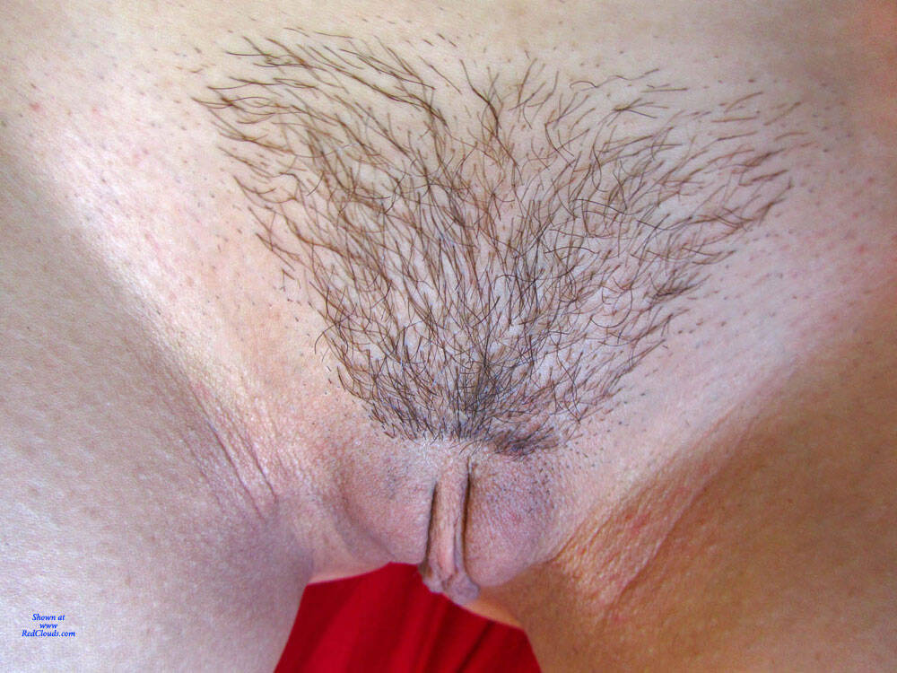 Pic #1Hair Styles ... What Do You Like? - Bush Or Hairy, Close-ups, Pussy