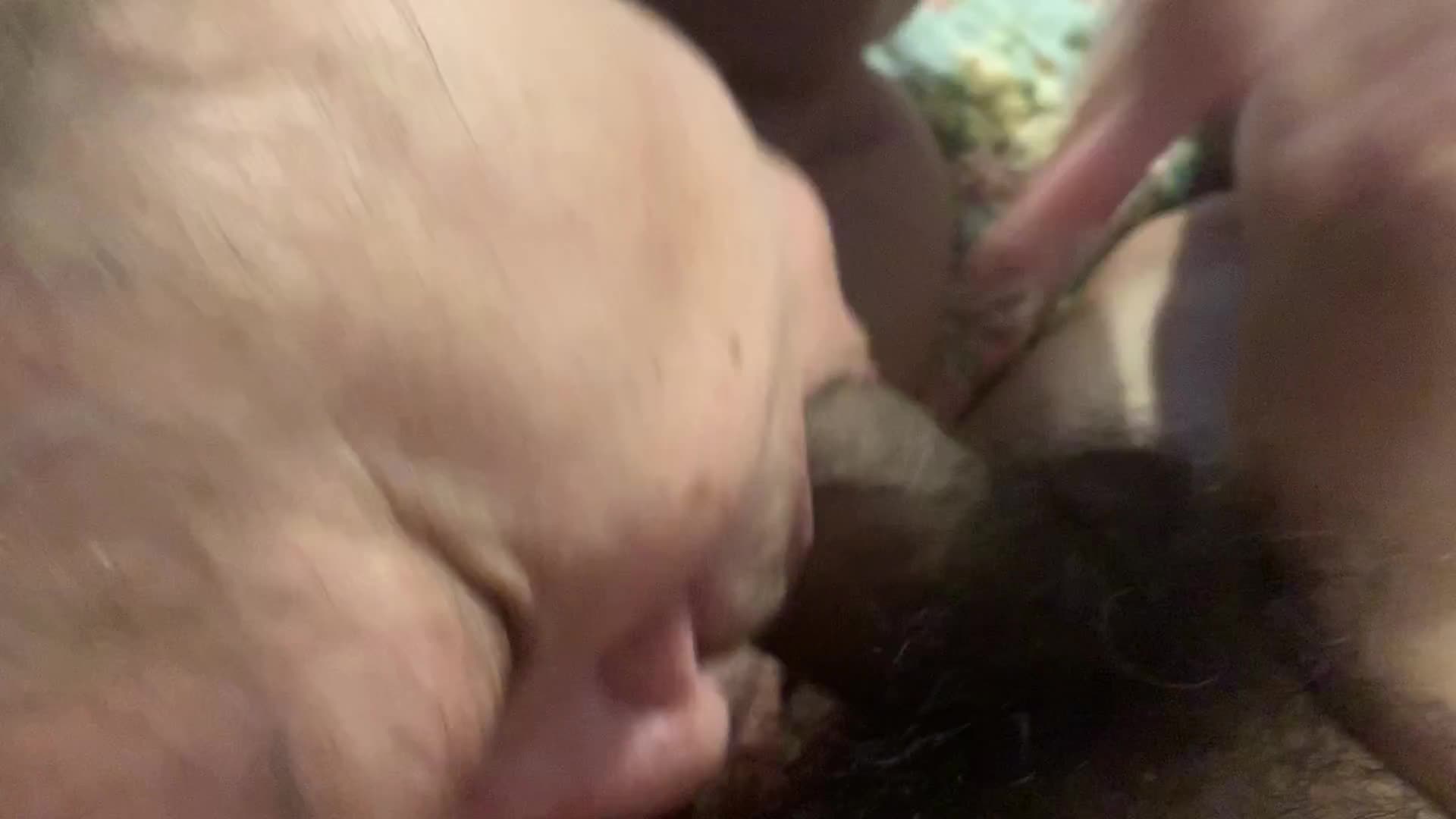 Pic #1Best Wife - Brunette, Blowjob, Wife/wives, Amateur