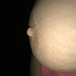 Medium tits of my wife - princes