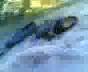 Pic #1  Duardamar Dunes - Outdoors, Penetration Or Hardcore, Amateur