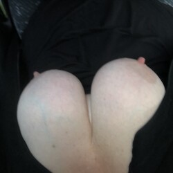 My large tits - Drusilla tits