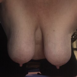 My large tits - Drusilla tits