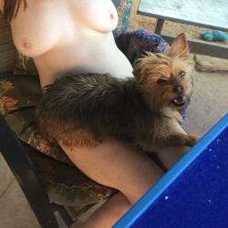 Medium tits of my wife - Woof Woof and Wife