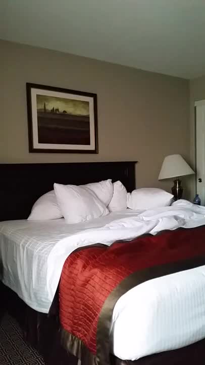 Pic #1Sexylilbbcwhore - Nude Amateurs, Big Tits, Brunette, Blowjob, Penetration Or Hardcore, Shaved, Interracial