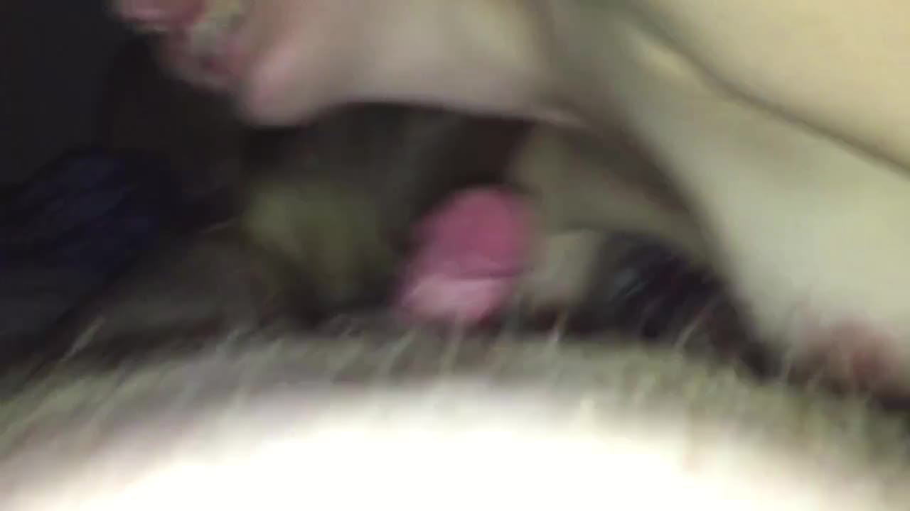 Pic #1She Blooows - Blowjob, Amateur