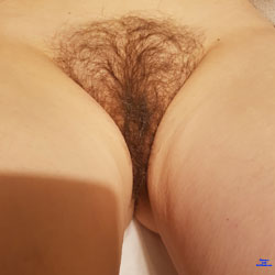 Pic #1Watch My Pussy - Bush Or Hairy, Close-ups, Pussy, Amateur