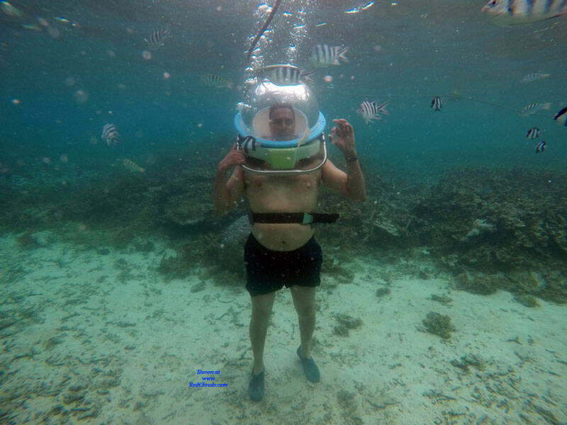 Pic #1M* Aquaticus The Aquanaut 20 000 Leagues Under The Sea