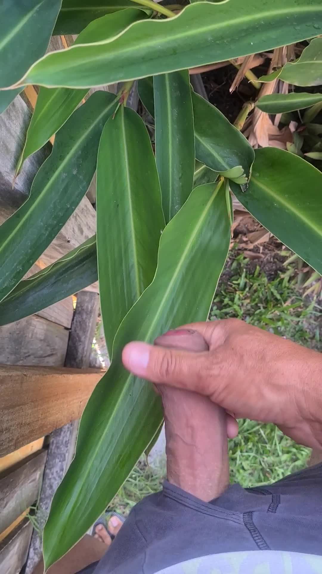 Pic #1M* Horny In The Garden