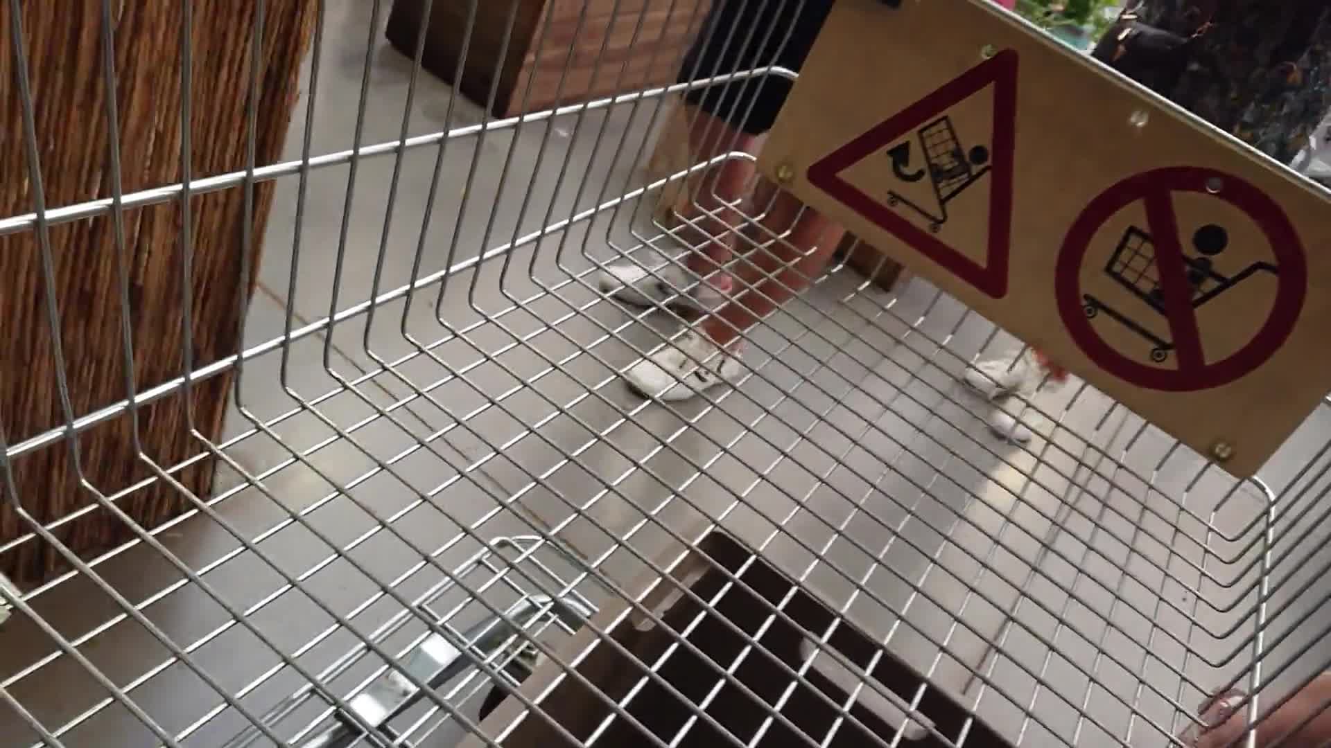 Pic #1Que Ces Etageres Sont Hautes - Big Tits, Public Exhibitionist, Flashing, Public Place, Amateur