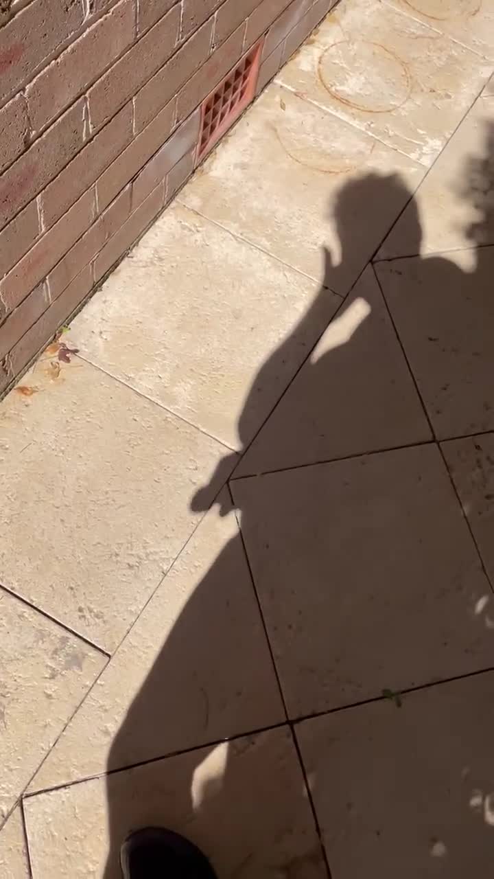 Pic #1M* Shadow Wank