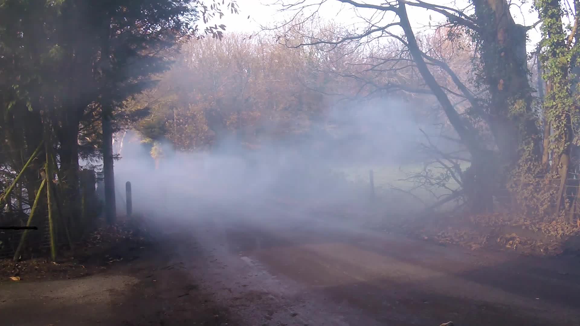 Pic #1Am I Dreaming - Nude Girls, Brunette, Public Exhibitionist, Outdoors, Bush Or Hairy, Amateur, Medium Tits, Firm Ass