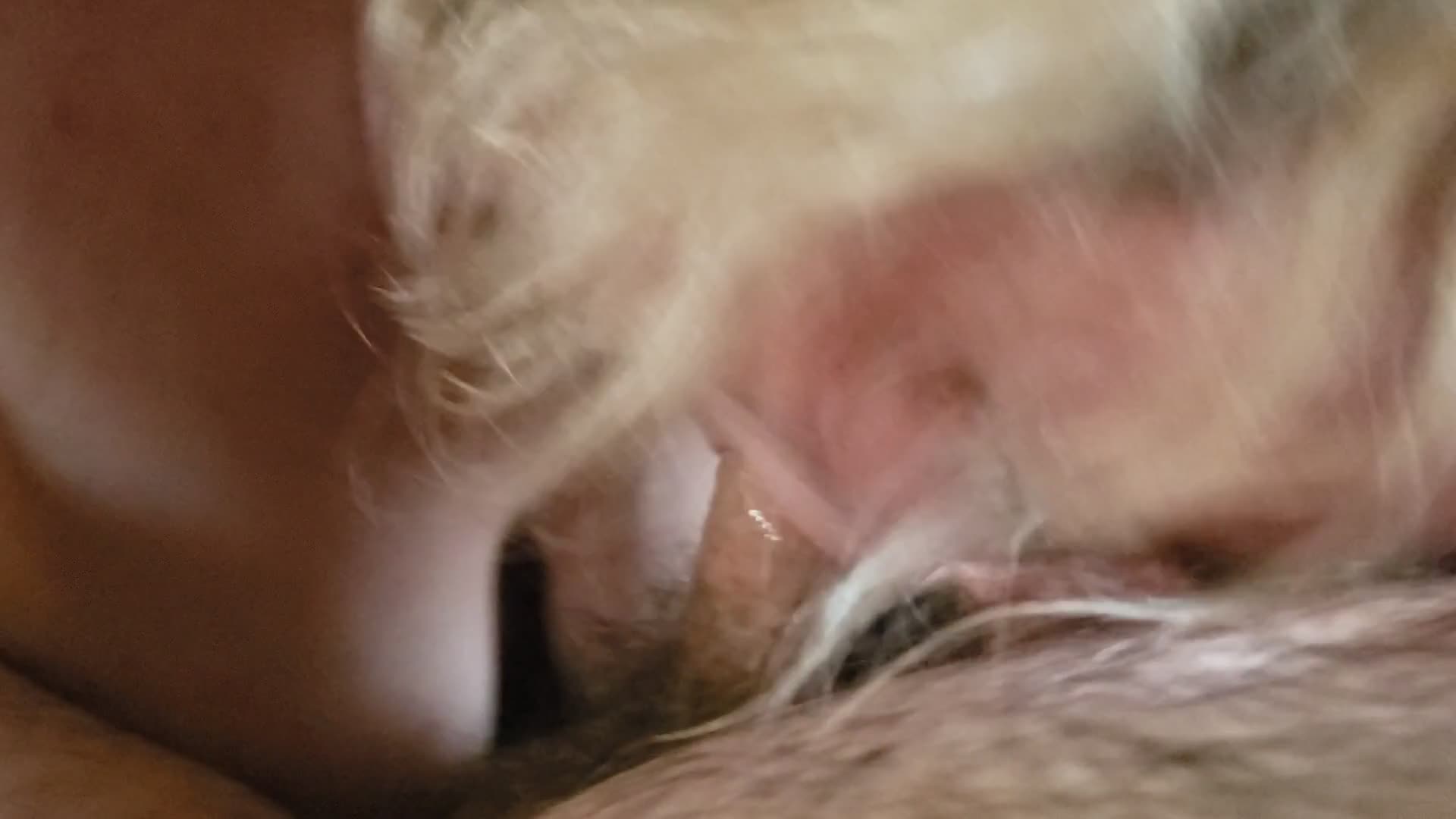 Pic #1Suck And Tittie Fuck - Big Tits, Blonde, Blowjob, Amateur