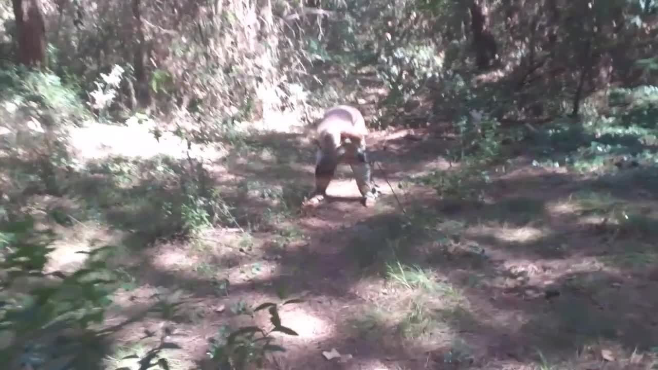 Pic #1she just had to let go....