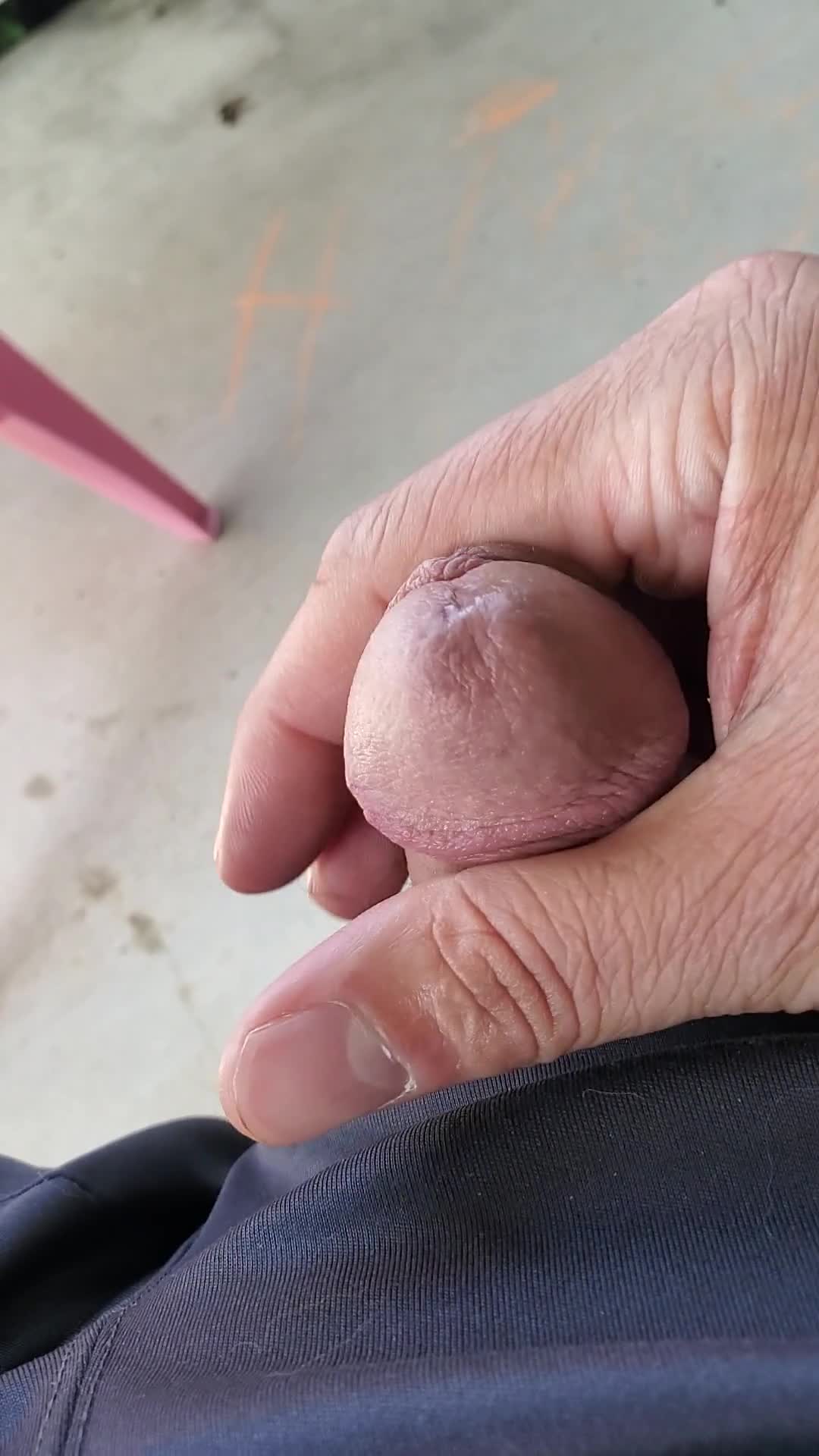 Pic #1Shy wife's average husband