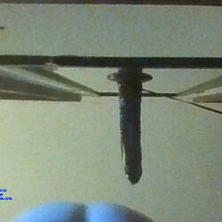 Pic #1suction cup dildo