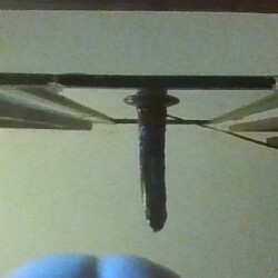 Pic #1suction cup dildo