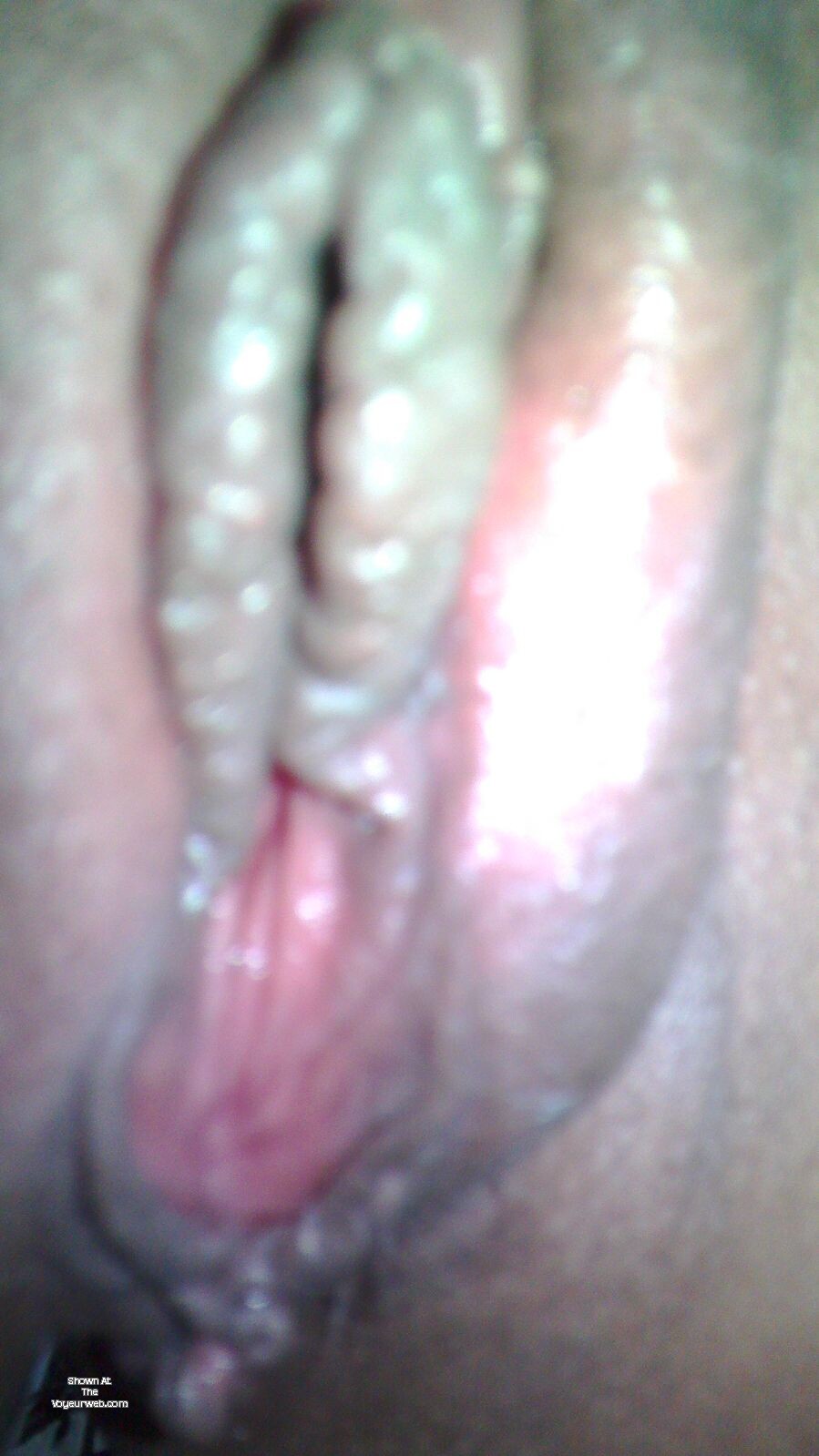 Pic #1Pelo blanco 11