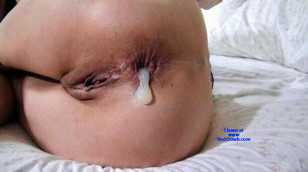 Pic #1ASSES FROM RECIFE CITY, BRAZIL