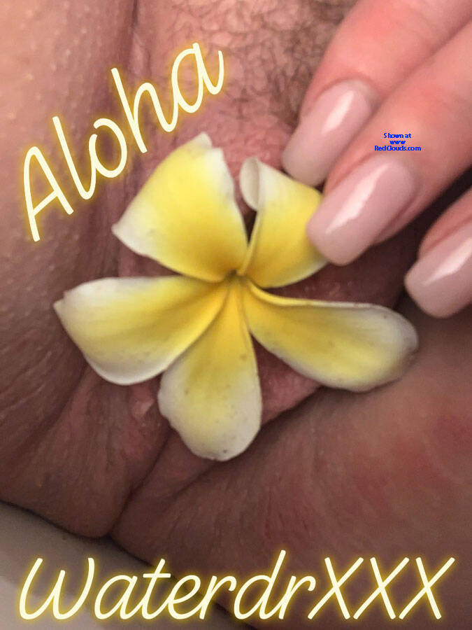 Pic #1Aloha - Amateur, Bent Over, Big Ass, Big Tits, Bush Or Hairy, Masturbation, Nude Amateurs, Nude Wives, Outdoors, Pussy, Pussy Fucking, Pussy Hair, Pussy Play Pics, Pussy Spreading, Touching Pussy, Toys, Trimmed Pussy, Wives In Lingerie, Women Using Dildos