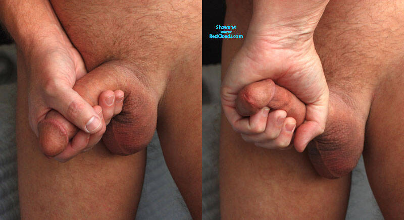 Pic #1Afternoon Sun Closeups