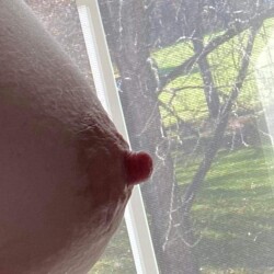 My medium tits - PBEfromvw