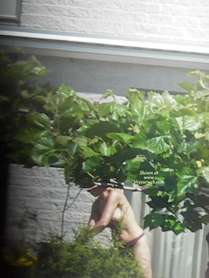 Pic #1 My Neighbour For The Last Time (for Now)