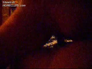 Pic #1The Tractor Shags