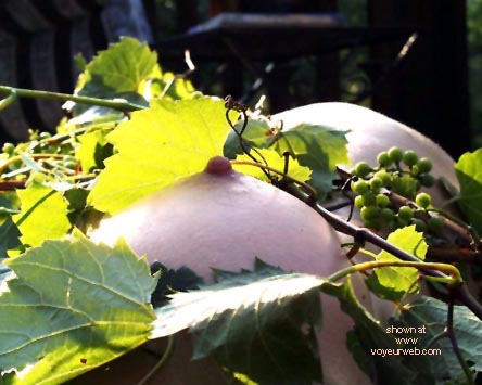 Pic #1Nature Studies