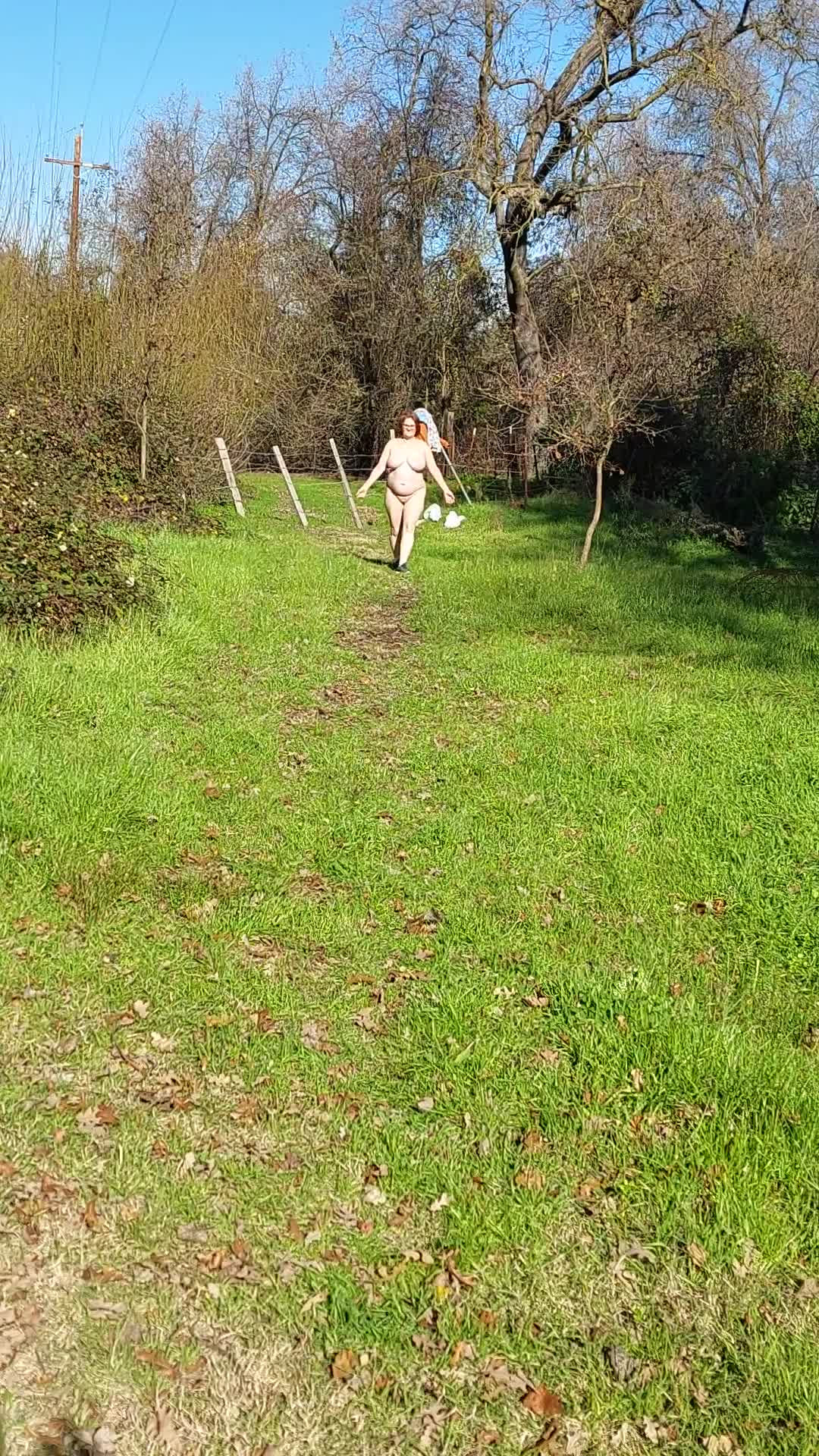 Pic #1A walk in the park on a winters day