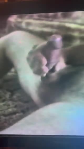 Pic #1Oldie but Goodie